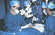 Microsurgery in progress
